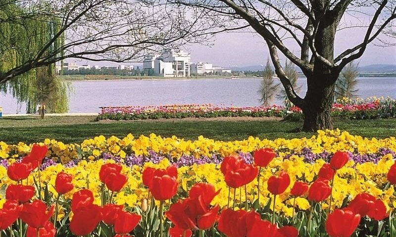 canberra floriade