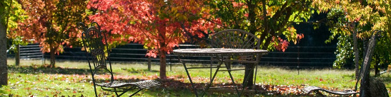 Bright Autumn Festival